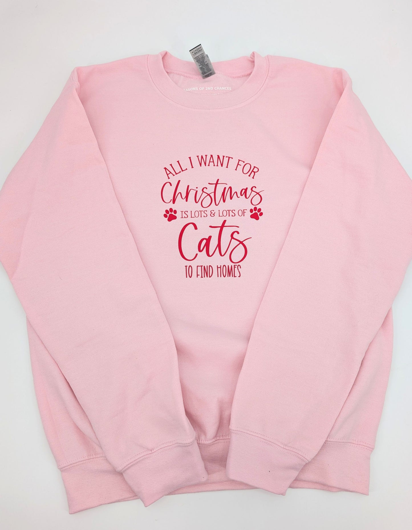 All I Want is Lots & Lots of Cats to Find Home Crew