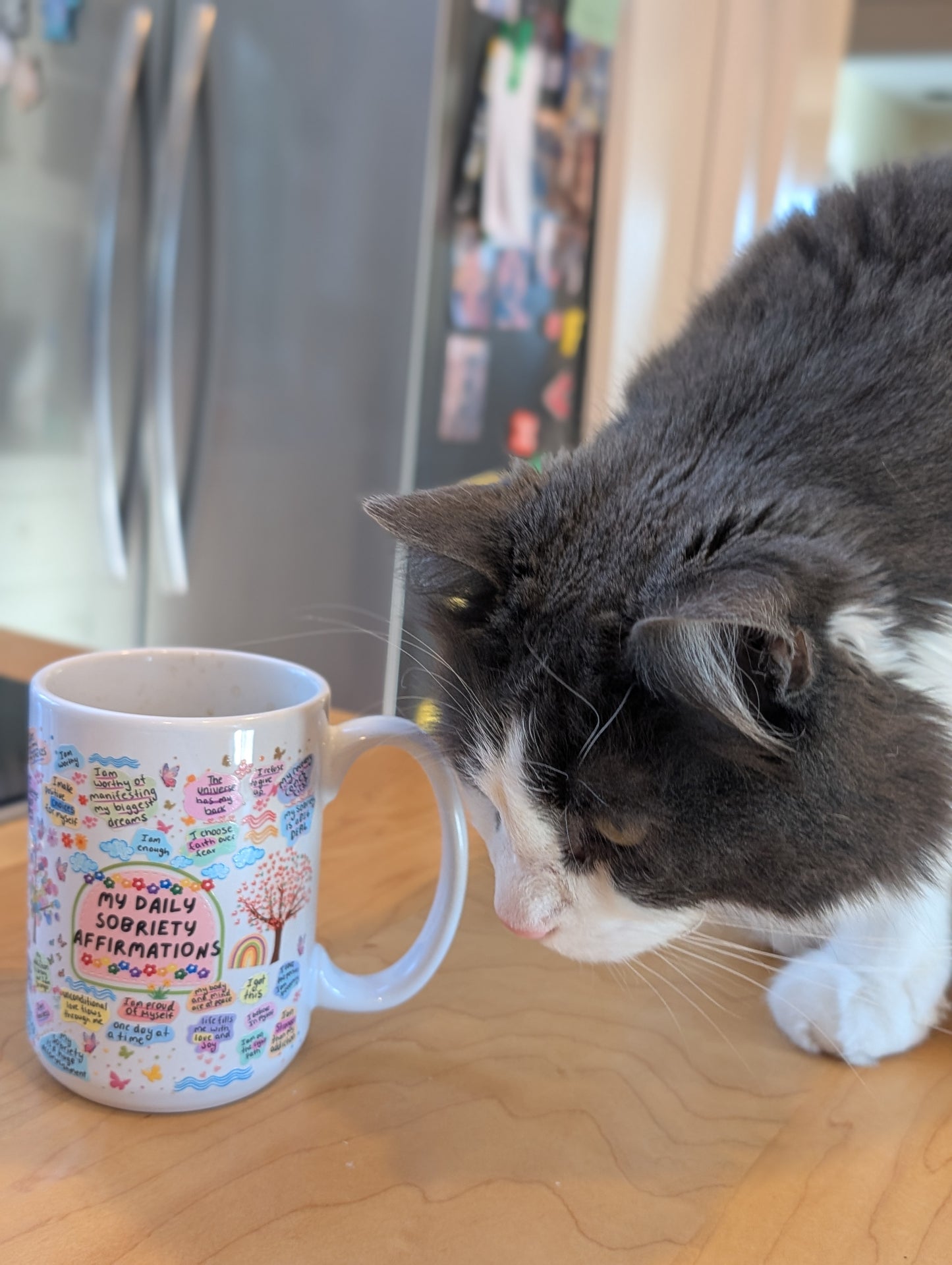 Daily Sobriety Affirmations Mug