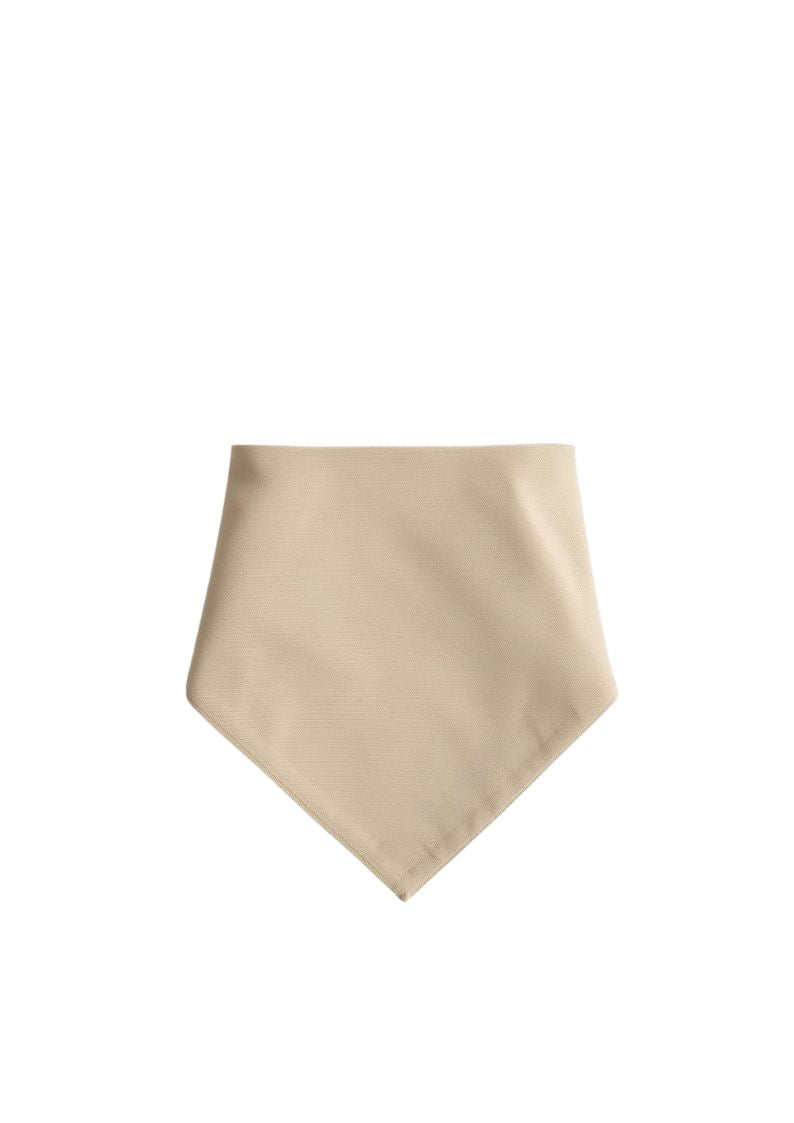 pet bandana over the ocllar bandana