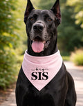 Big Sis/Lil Sis Pet Bandana