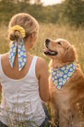 Daisy Field Matching Dog Bandana & Scrunchie Set 🌼