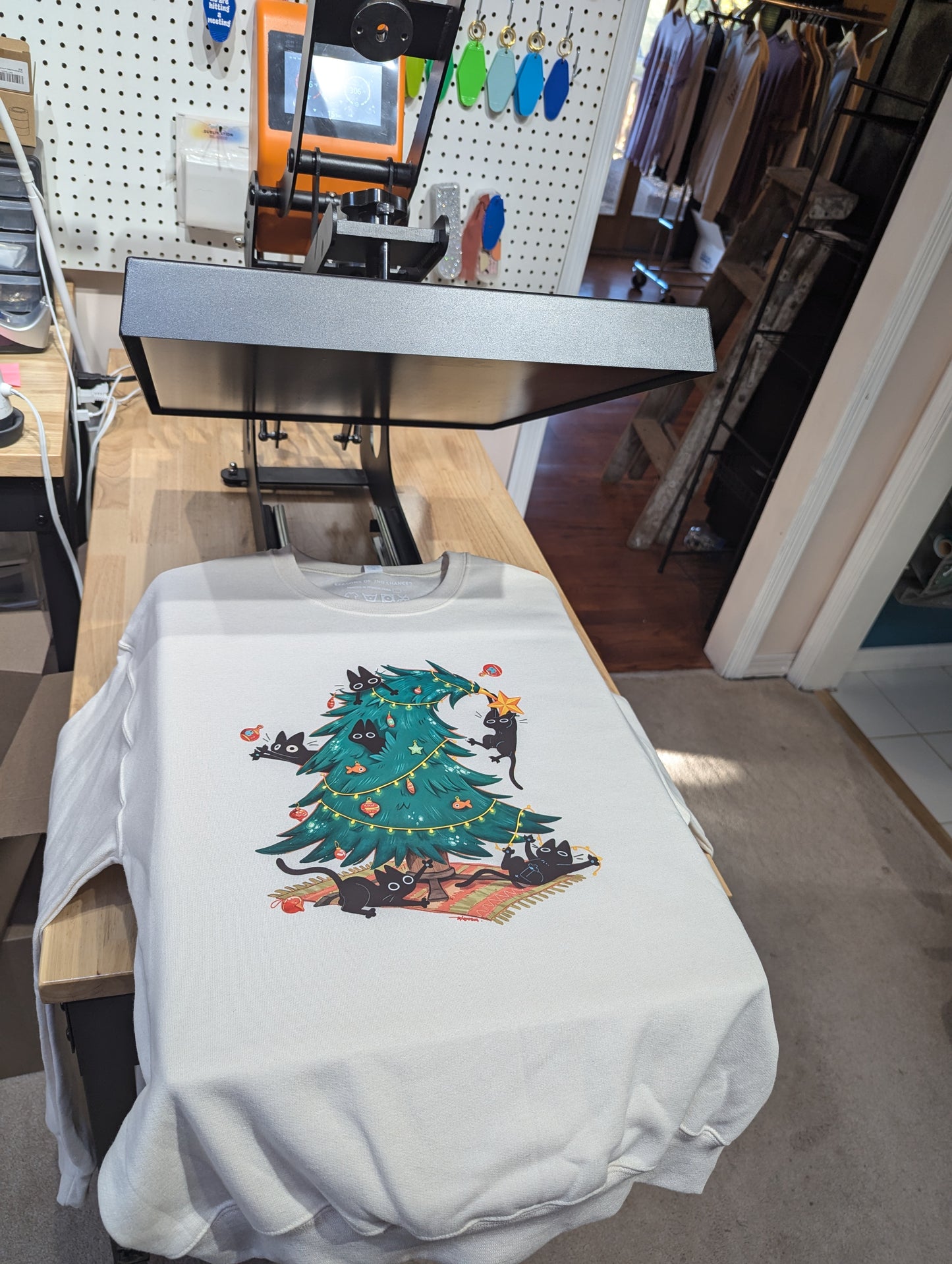 Dear Santa We Can Explain