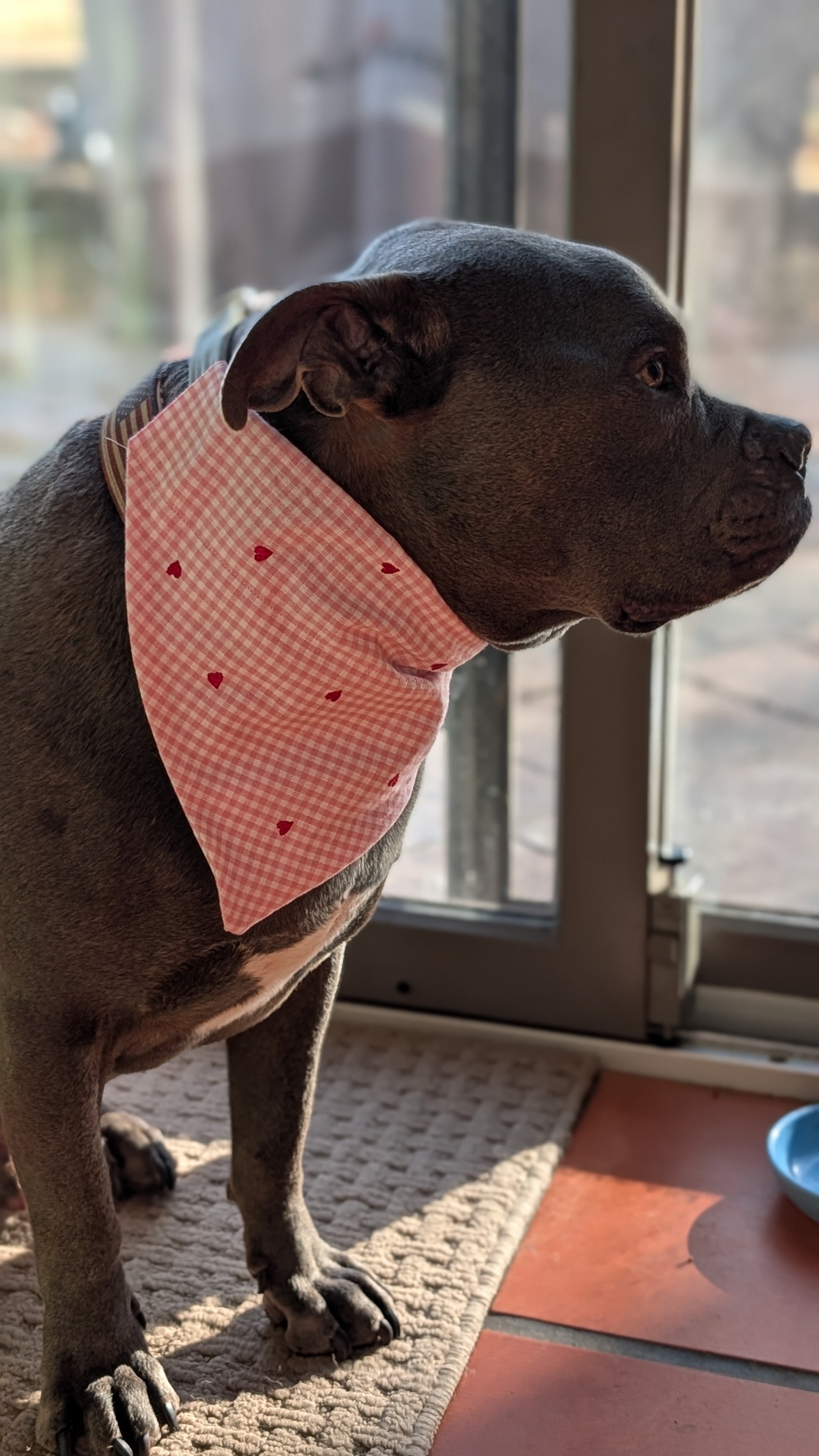 Valentine Heart Gingham Pet Bandana