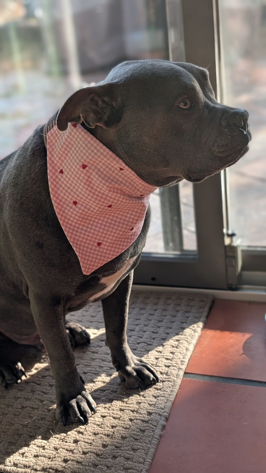 Valentine Heart Gingham Pet Bandana