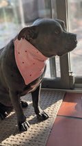 Valentine Heart Gingham Pet Bandana