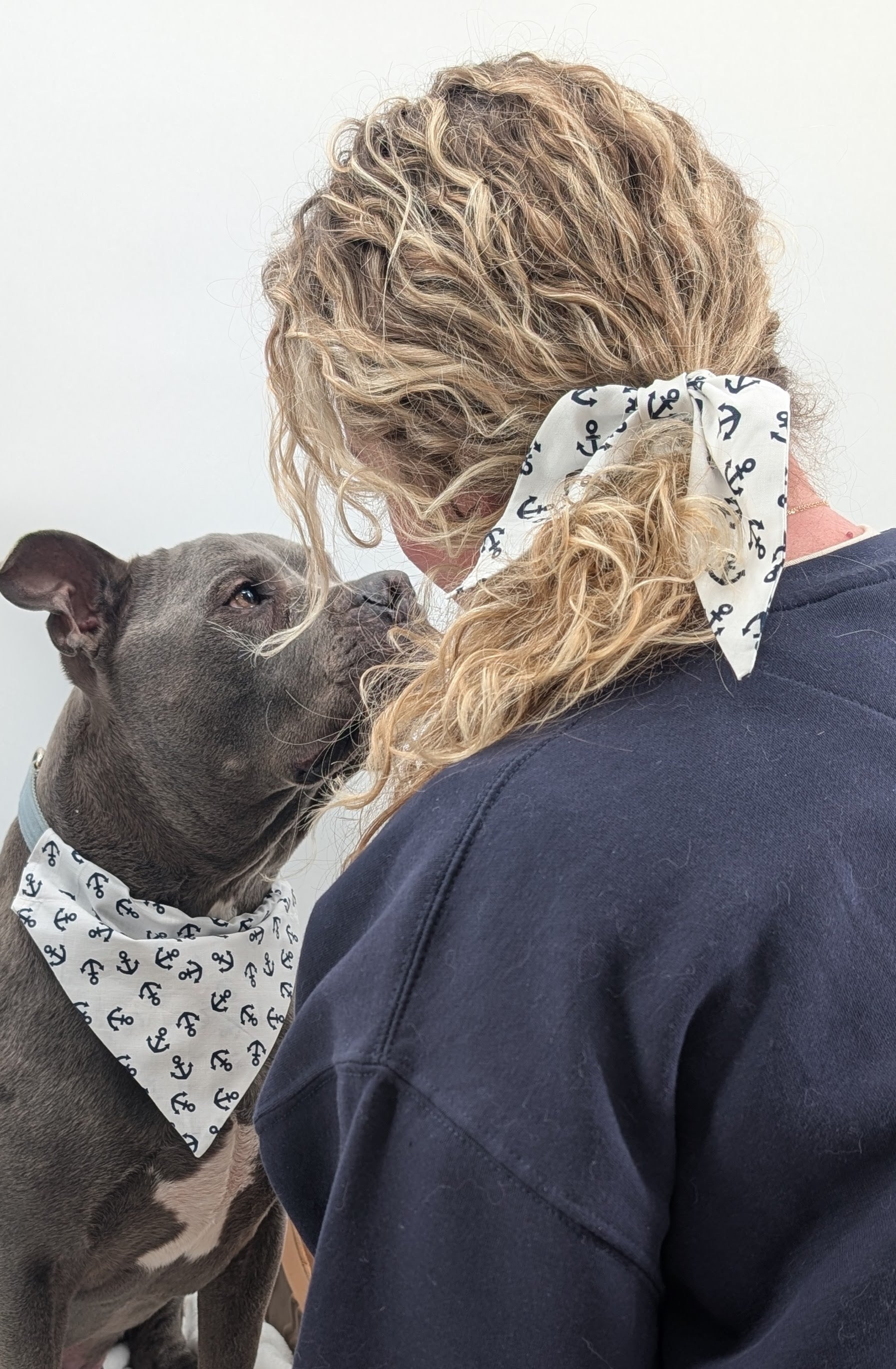 Nautical Anchor Matching Dog & Scrunchie Set