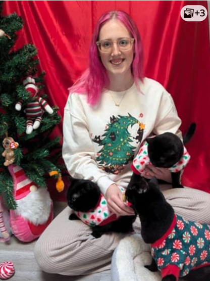 Person with pink hair sitting with two black cats wearing Christmas sweaters in front of a red curtain and decorated tree.