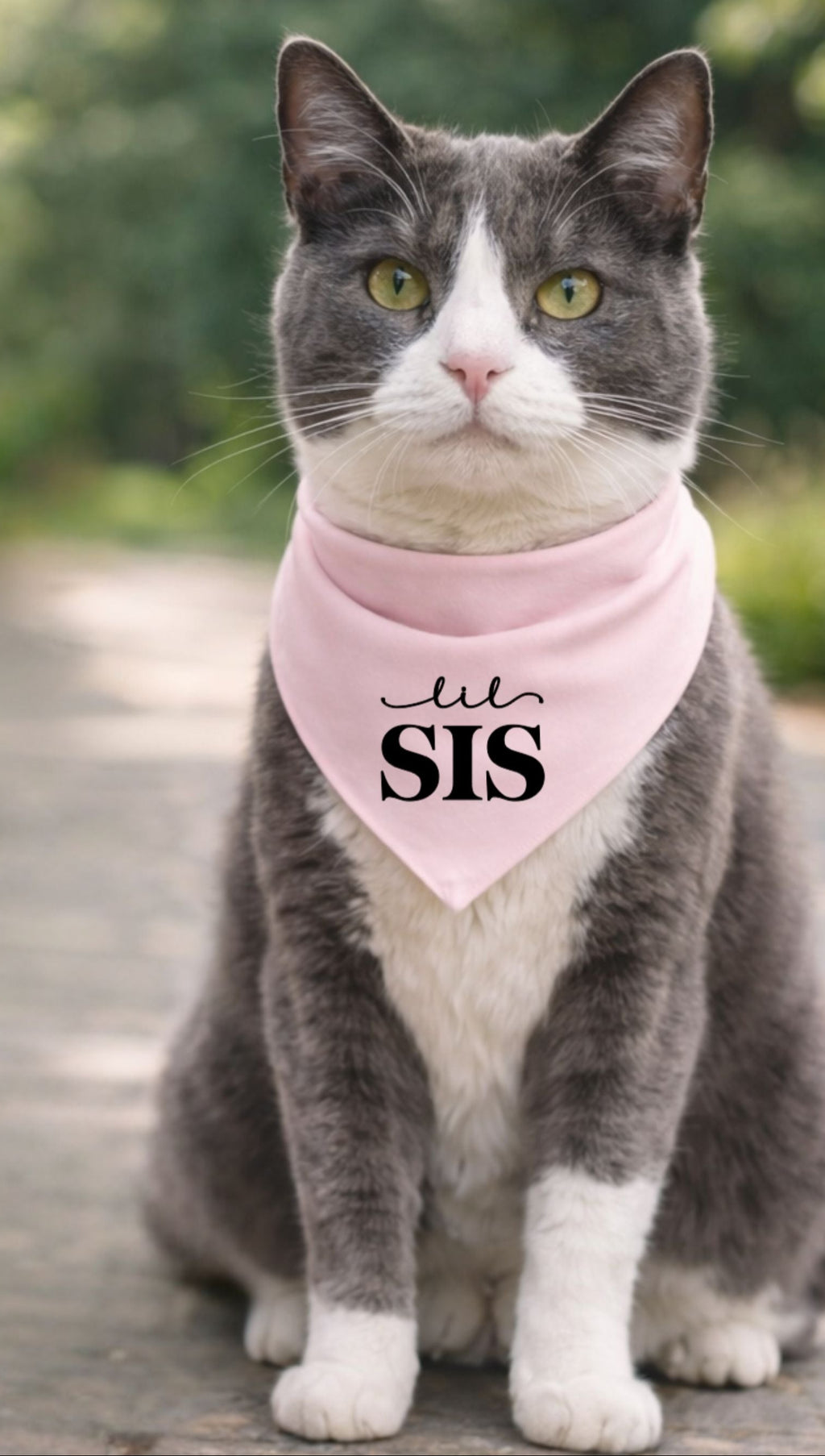 Big Sis/Lil Sis Pet Bandana