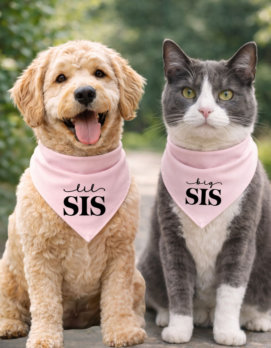 Big Sis/Lil Sis Pet Bandana