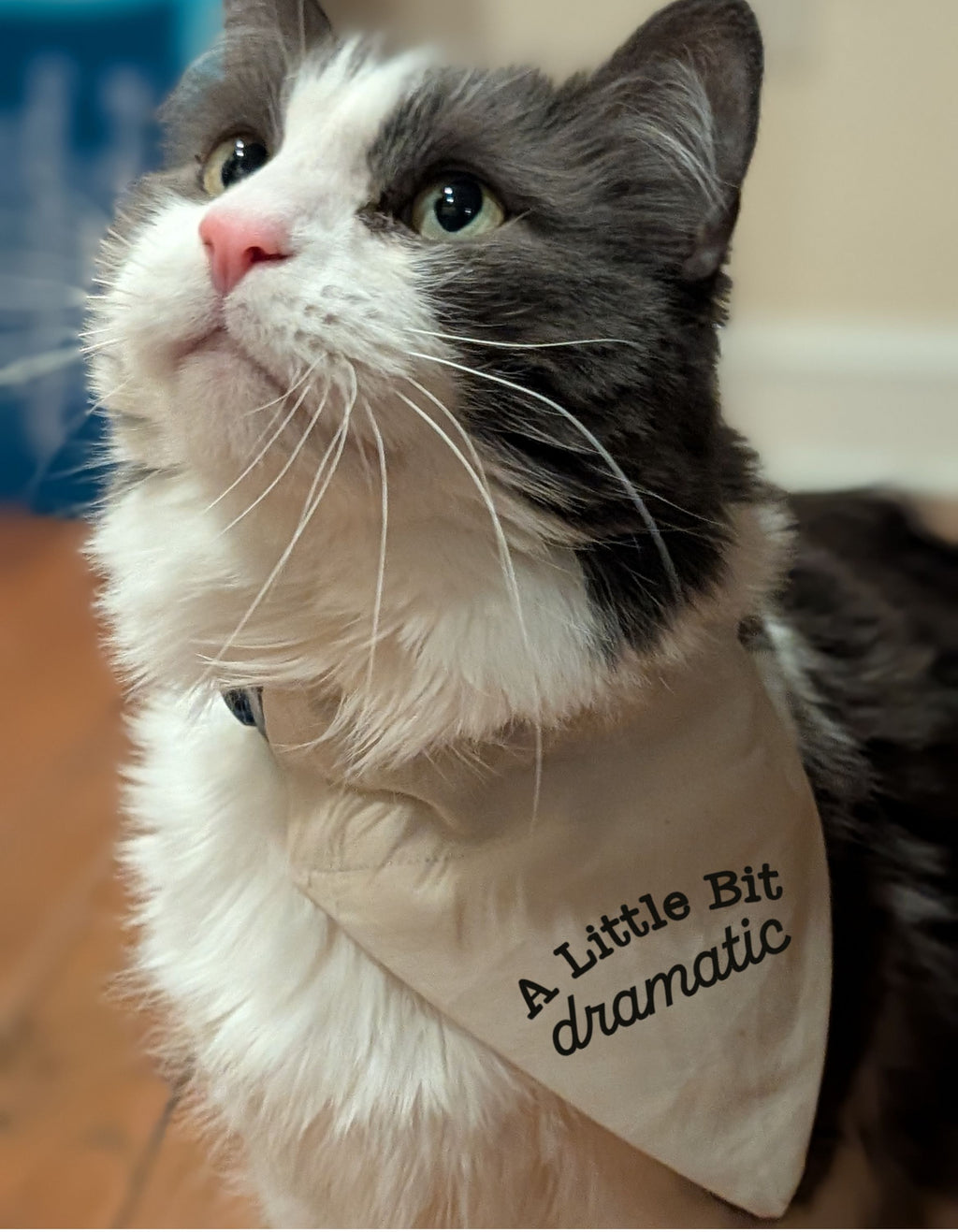A Little Bit Dramatic Pet Bandana