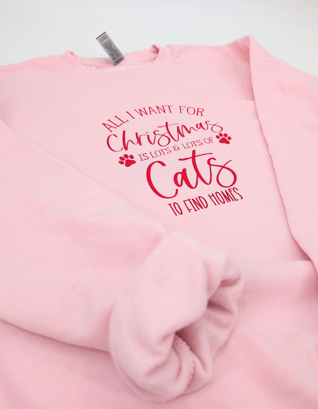 All I Want is Lots & Lots of Cats to Find Home Crew