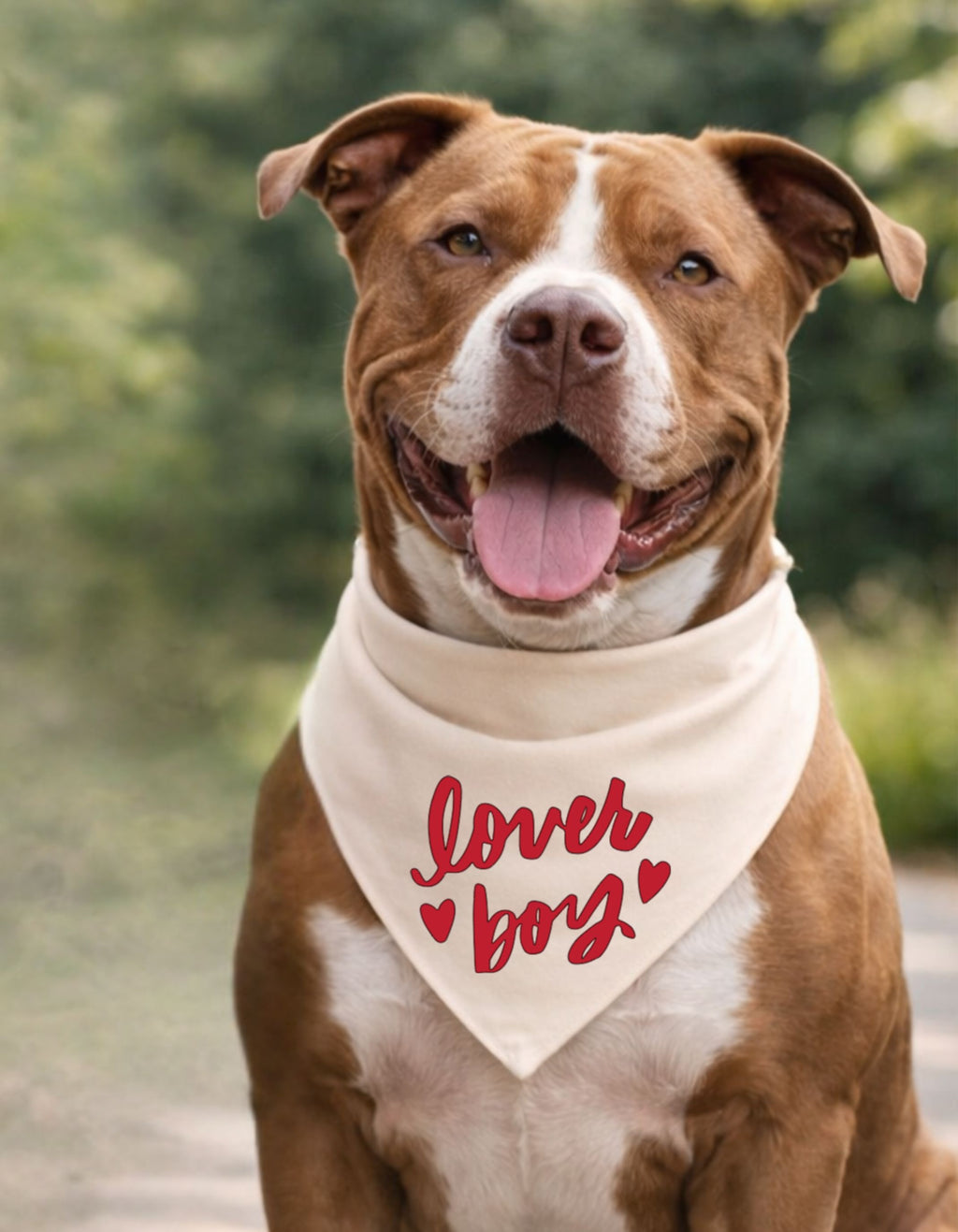 Lover Boy/Girl Pet Bandana